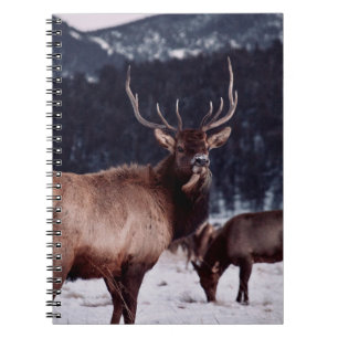 SHALLOW FOCUS FOTO BROWN DEER NOTIZBLOCK