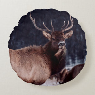 SHALLOW FOCUS FOTO BROWN DEER RUNDES KISSEN