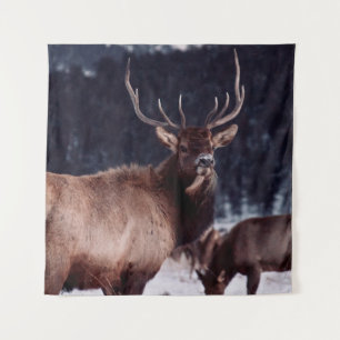 SHALLOW FOCUS FOTO BROWN DEER WANDTEPPICH
