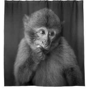 SHALLOW FOCUS FOTOGRAFIE DES SCHWARZEN MONKEY DUSCHVORHANG