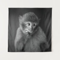 SHALLOW FOCUS FOTOGRAFIE DES SCHWARZEN MONKEY