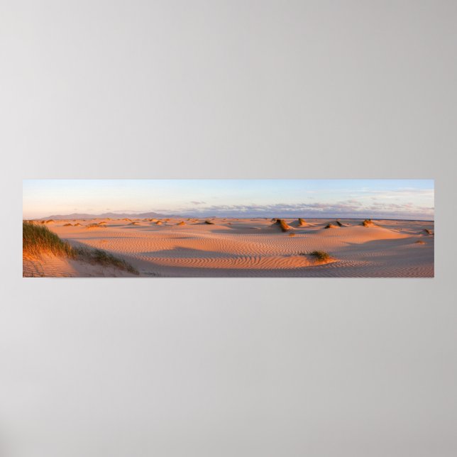 Shallow Inlet Dunes Panorama Poster (Vorne)
