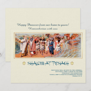 Shalom à Pesach. Carte de voeux Pessin d'Art