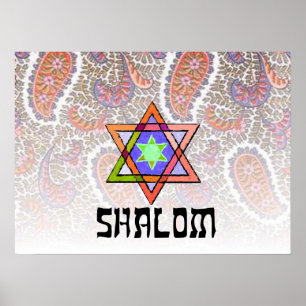 Shalom Pink Paisley Poster
