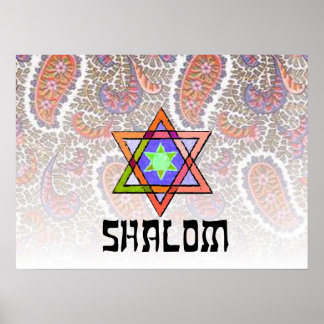 Shalom Pink Paisley Poster