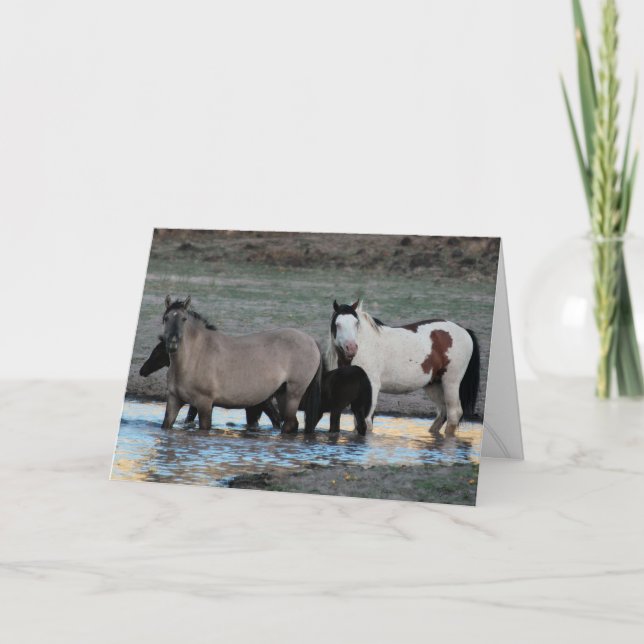 Shaman & Granite ~ Legend Grußkarte Karte (Vorderseite)