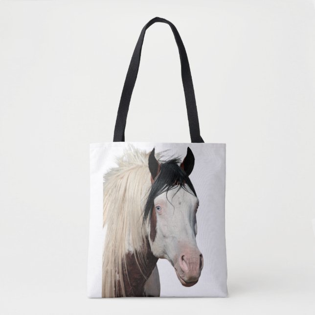 Shaman, le Sac fourre-tout de la légende  (Devant)