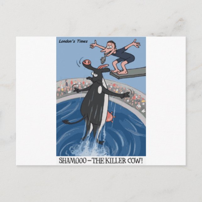 Shamooo Funny Cow Geschenke & Sammlerstücke Postkarte (Vorderseite)