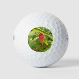 Shampoo Ginger Blume Golfball