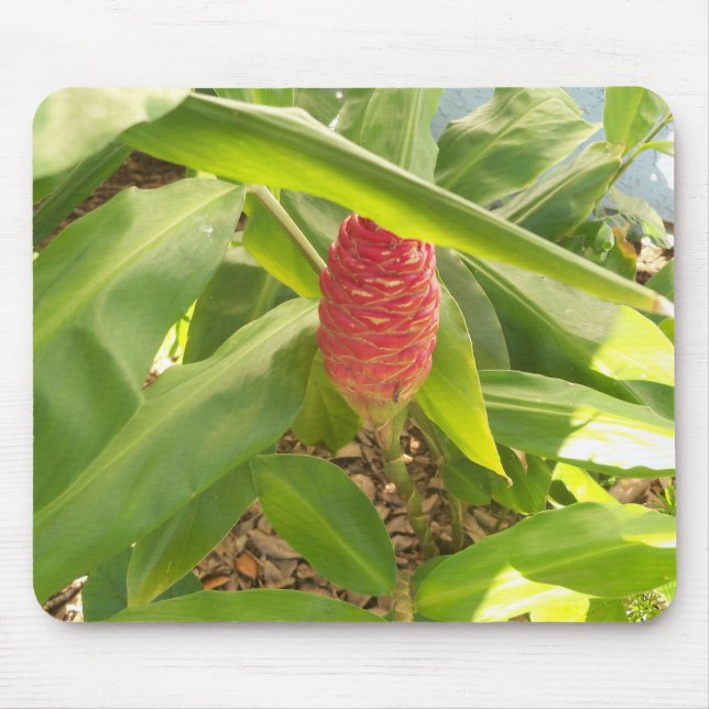 Shampoo Ginger Blume Mousepad (Vorne)