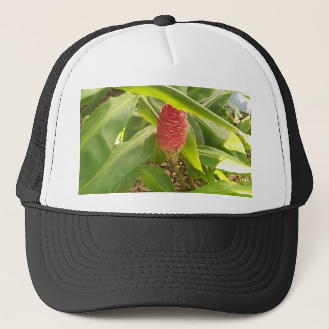 Shampoo Ginger flower Truckerkappe (Vorderseite)