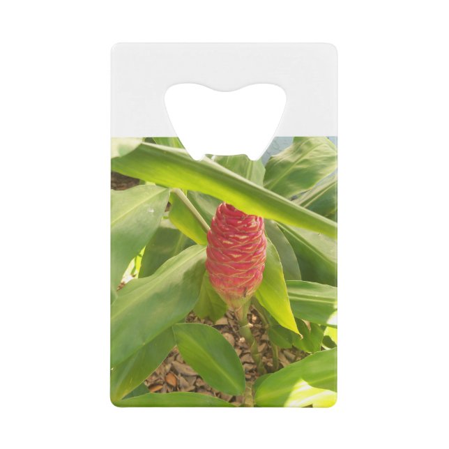 Shampoo-Ingwer-Blume Geldbeutel Flaschenöffner (Vorderseite)