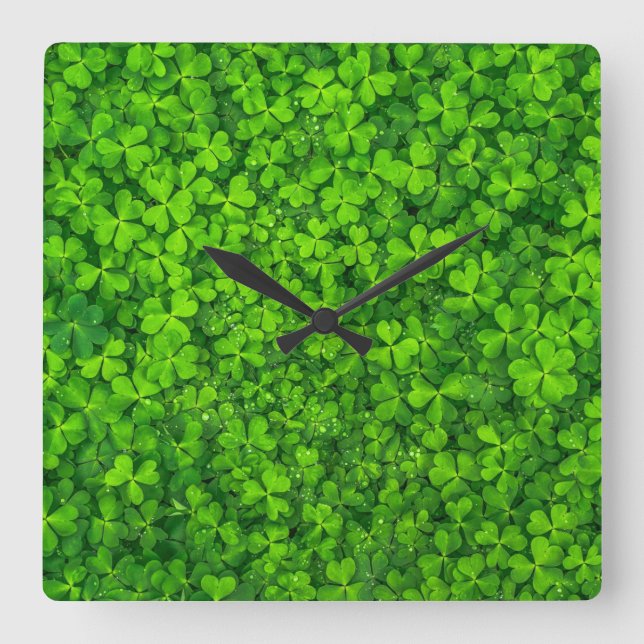Shamrock Clovers Green Irish Symbol Ireland Quadratische Wanduhr (Vorderseite)