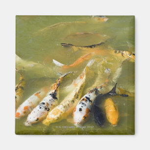 Shanghai, China Magnet