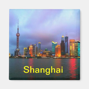 Shanghai-Chinamagnet Magnet