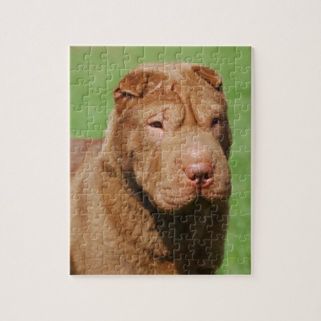 Shar Pei (Vertikal)