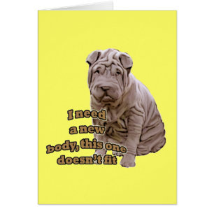 Shar Pei