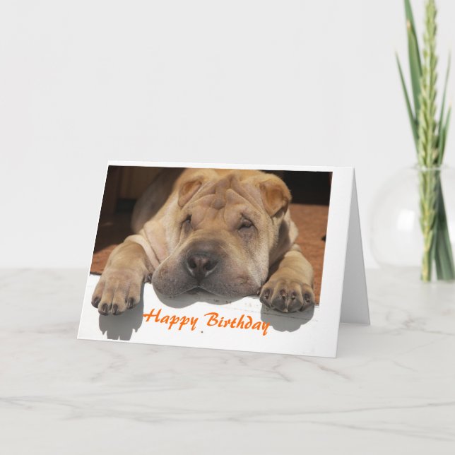 Shar Pei Birthday Karte (Vorderseite)