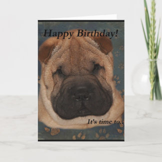 Shar Pei Birthday-Take Paws Karte