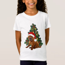 Shar Pei Christmas Dog, Xmas Shar Pei dog
