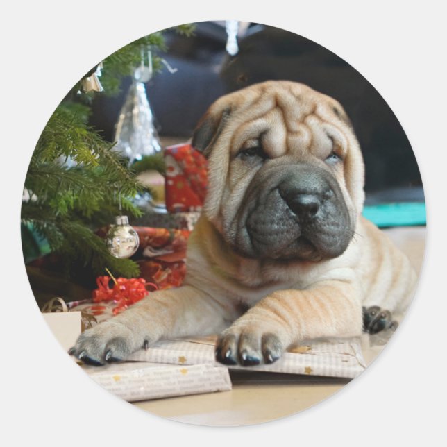 Shar Pei Christmas Runder Aufkleber (Vorderseite)
