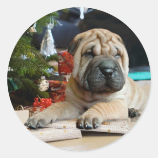 Shar Pei Christmas Runder Aufkleber