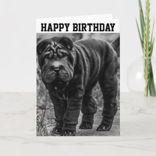 SHAR PEI DOG CUTE CARTE D'ANNIVERSAIRE (Devant)