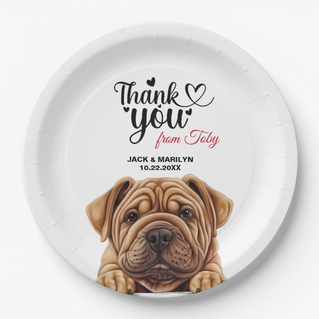 Shar-Pei Dog Pappteller (Vorderseite)