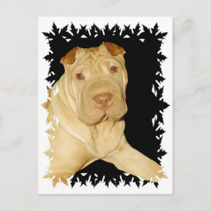 Shar Pei Dog Postcard Postkarte