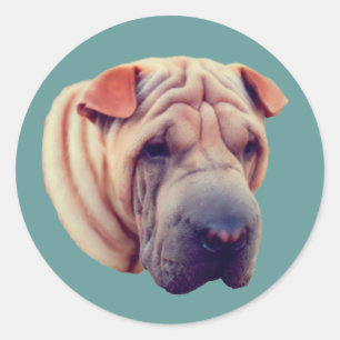 Shar Pei Face Dog Runder Aufkleber