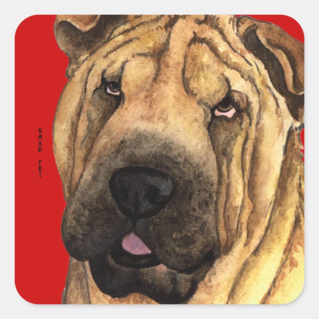 Shar-Pei-Farbblock Quadratischer Aufkleber (Vorderseite)