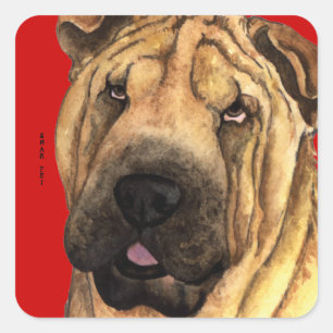 Shar-Pei-Farbblock Quadratischer Aufkleber