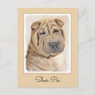Shar Pei Painting - Niedliche Original Dog Art Postkarte