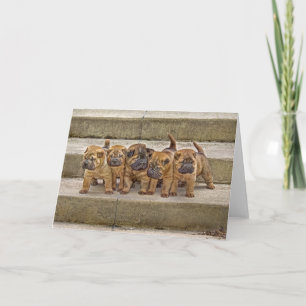 Shar-Pei pups 5 in a row card Karte