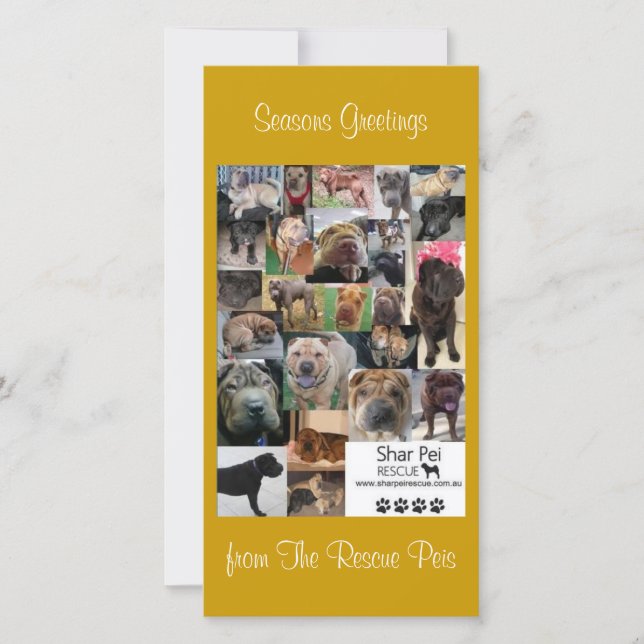 Shar Pei Rescue Xmas Card Feiertagskarte (Vorderseite)