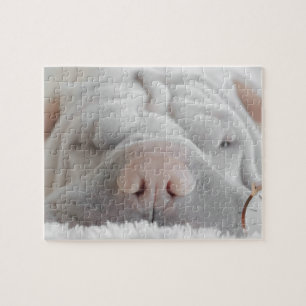 SHAR PEI SLEEPY HUND CLOSEUP PUZZLE