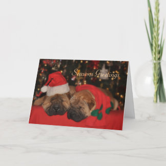 Shar Pei Sleepy Weihnachtskarte Feiertagskarte