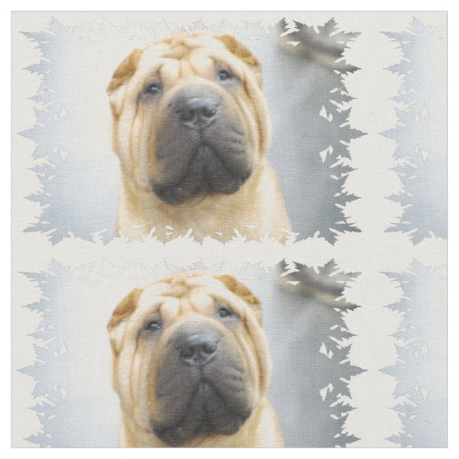 Shar Pei Stoff (Nahaufnahme)