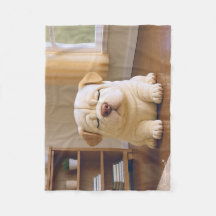 Shar Pei Welpe - Sanfte Ruhe von WangWang
