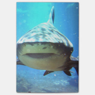shark-5.jpg post-it klebezettel