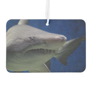 Shark Car Air Freshener. Autolufterfrischer
