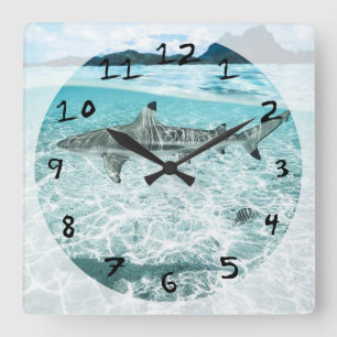 Shark in the Waters Quadratische Wanduhr
