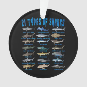 Shark Lovers 21 Types of Sharks Ocean Animal