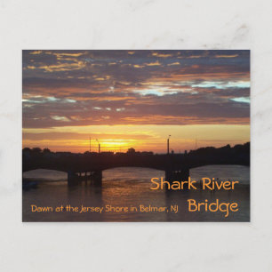Shark River Bridge Postkarte