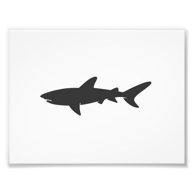 Shark-Silhouette - Hintergrundfarbe auswählen Fotodruck (Vorne)