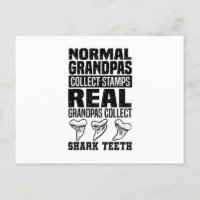 Shark Teeth Collector Gifts | Shark Tooth Hobby
