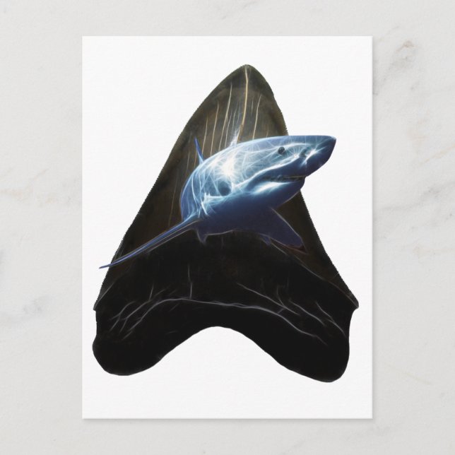 Shark Tooth Postkarte (Vorderseite)