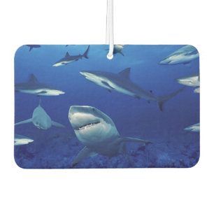 Sharks Air Freshener Autolufterfrischer