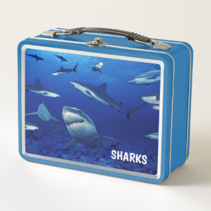 Sharks Metal Lunch Box