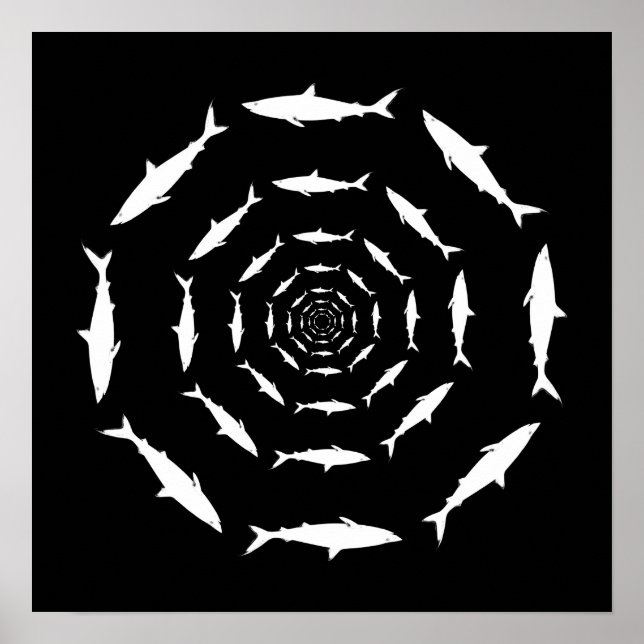 sharks swimming in circles poster (Vorne)